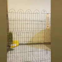 برگ یونجه مخصوص بچه خرگوش|لوازم جانبی حیوانات|مشهد, طلاب|دیوار
