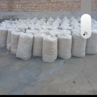 تفاله چقندرقند|عمدهفروشی|دشتابی, |دیوار