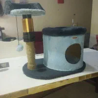 اسکرچر لانه گربه کدی پک بونسای