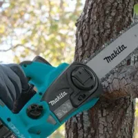 خدمات باغبانی