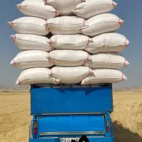 کاه کردستان|لوازم جانبی حیوانات|آفتاب, |دیوار