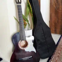 گیتار سالم وکم کار
