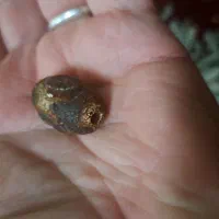 مهره عقیق تبتی|کلکسیون اشیاء عتیقه|تهران, زنجان جنوبی|دیوار