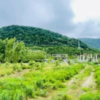 ۲۰۰ متر زمین شهرکی در قلب طبیعت رامسر