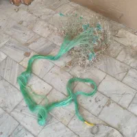 تور ماهیگیری ۲۴ متری زخیم|ماهیگیری|بروجرد, |دیوار