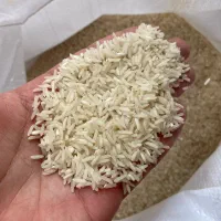 برنج طارم هاشمی