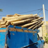 خریدار چوب سقفی وسپیدار
