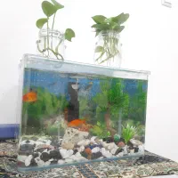 آکواریوم شیشه خم با تمام وسایل