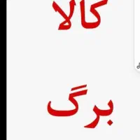کالابرگ مرحله چهارم