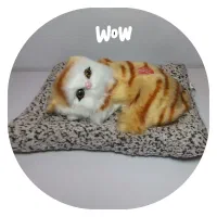 اسباب بازی های جذاب|اسباب‌‌بازی|شیراز, شهرک مدرس|دیوار