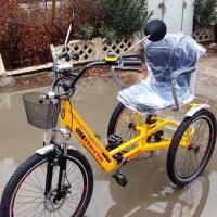 سه چرخه ورزشی تفریحی