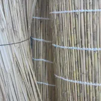 حصیربافی|صنایع دستی و سایر لوازم تزئینی|گنبد کاووس, |دیوار