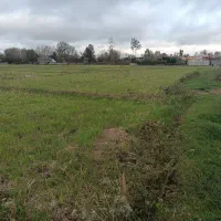 زمین کشاورزی|فروش دفتر صنعتی، کشاورزی، تجاری|خمام, |دیوار