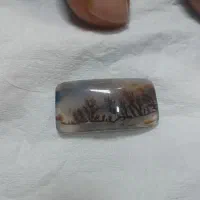 سنگ شجر عتیقه