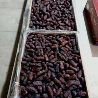 خرما پیارم درجه یک مشکی