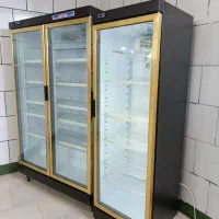 دوعدد یخچال ویترینی تمام طلایی درحداک