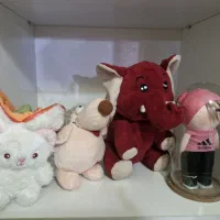 خرگوش هویجی