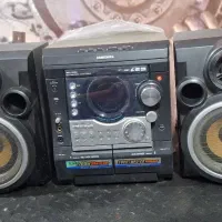 ظبط خانگی