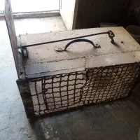 سلام تعدادی مرغ و خروس ویک تله گربه گیر|حیوانات مزرعه|سرایان, |دیوار