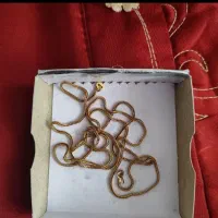 طلا گردنبند انگشتر