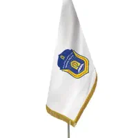 اخذگواهینامه کلاس انلاین