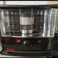 تیوست ژاپنی