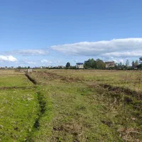 مزرعه ده تاسی هزار متر،مناسب کاشت کیوی