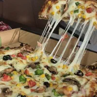 پنیر پیتزا موزارلا صادراتی برند لاروزا