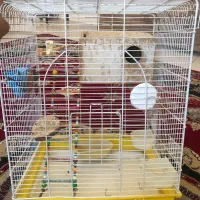 قفس در حد نو