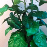 درختچه مصنوعی گل