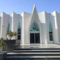 سالن دار و گارسون باسابقه