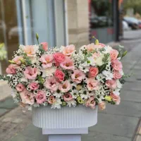 باکس گل پر پرواز کد ۱۷۸۴ گلاریس