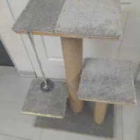 اسکرچر گربه|لوازم جانبی حیوانات|خمینیشهر, |دیوار