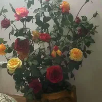 گل مصنوعی با گلدان در حد نو