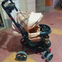 سرویس کالسکه ،کریر،روروئک دلیجان
