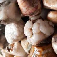 سنگ تزیینی|کلکسیون اشیاء عتیقه|تهران, نازی‌آباد|دیوار