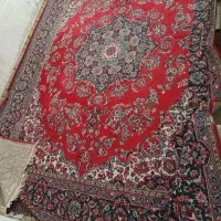 قالی 6متری
