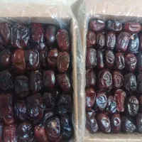 خرمای مضافتی و کلوته عمده فروشی