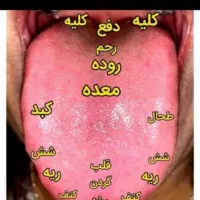 کار در منزل انلاین