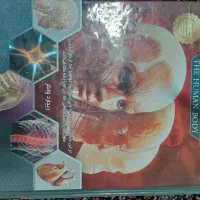 کتاب مفاتح کتاب مذهبی کتاب شعر کتاب قانون ۵ ثانیه|کتاب و مجله تاریخی|تبریز, |دیوار