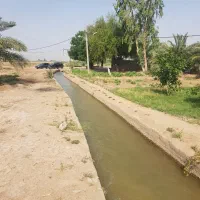 زمین کشاورزی|فروش زمین و ملک کلنگی|اهواز, گلستان|دیوار