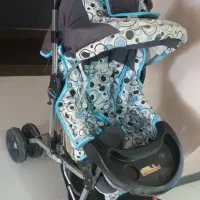 کالسکه سپید ناز دلیجان