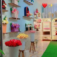 گلسرای آلما|خدمات پذیرایی، مراسم|تربت جام, یحیی آباد|دیوار