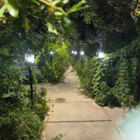 ادمین تولید محتوا