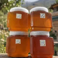 عسل طبیعی