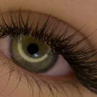 مدل رایگان اکستنشن مژه