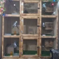 قفس چوبی