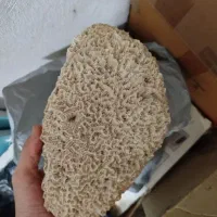 سنگ مرجان طبیعی