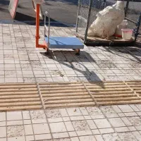 بوقلمون گوشتی بیوتی ارگانیک|حیوانات مزرعه|شاهرود, |دیوار