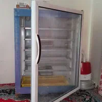 دستگاه جوجه کشی